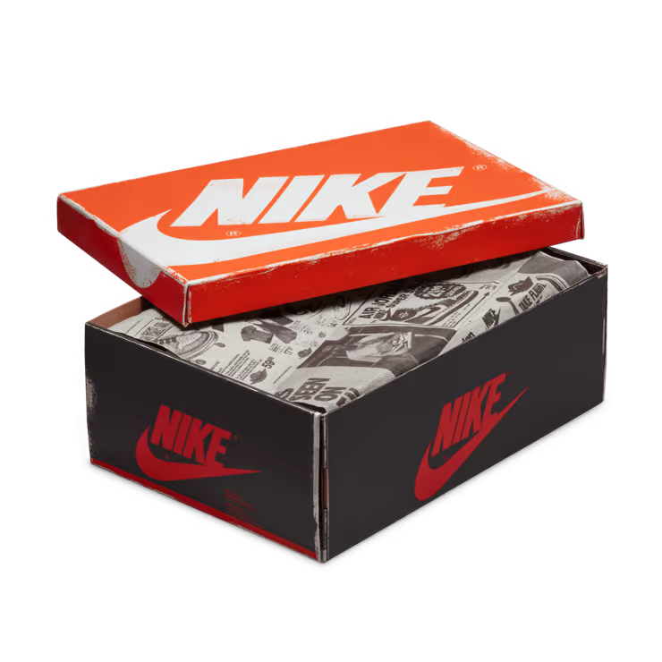 Jordan 1 Retro High OG Chicago Lost and Found